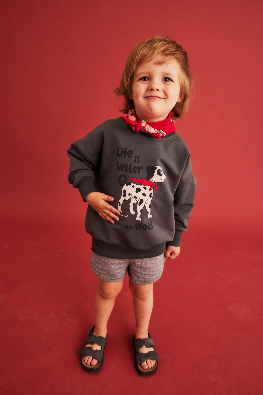Dear Sophie DALMATIAN grey Sweatshirt