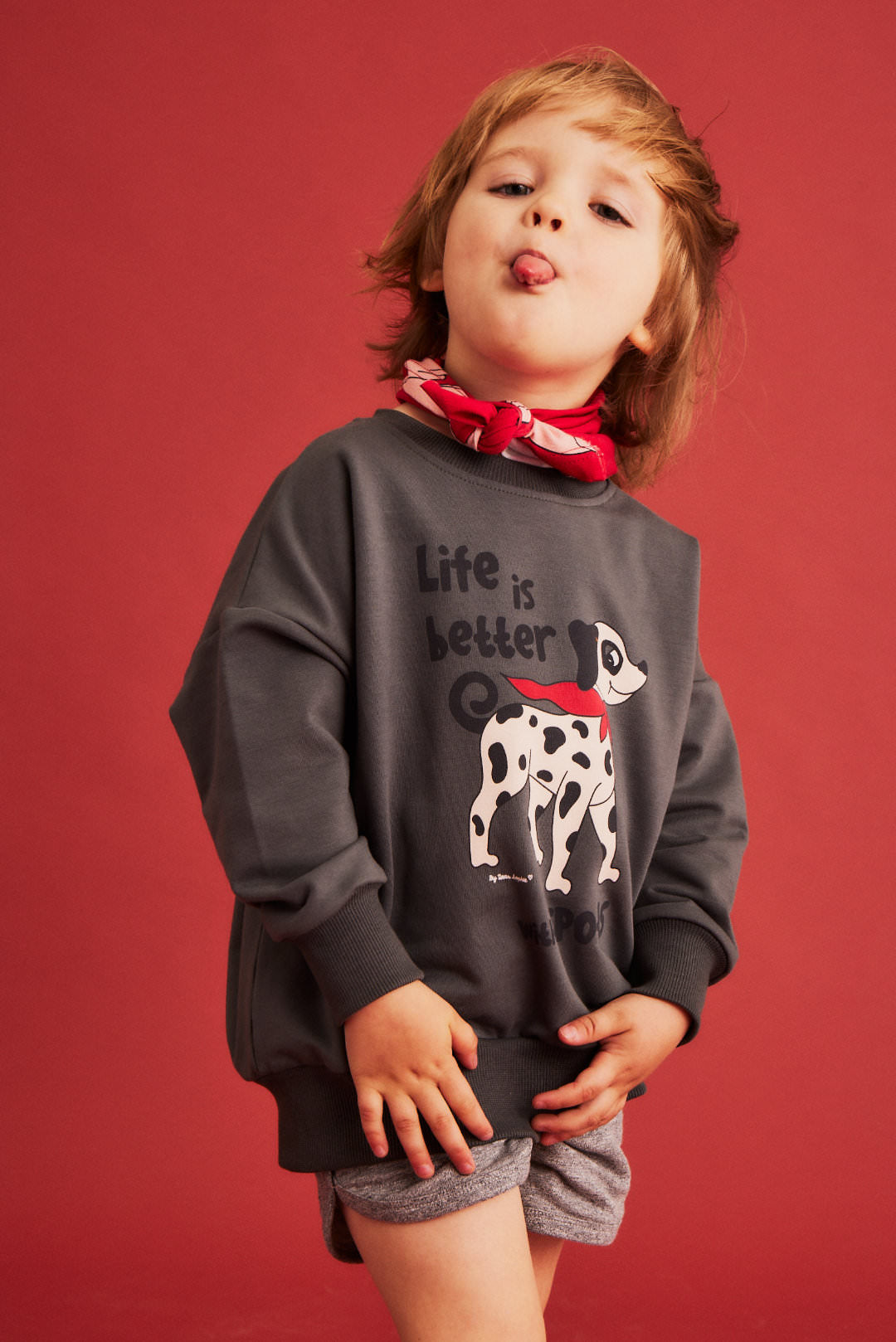 Dear Sophie DALMATIAN grey Sweatshirt