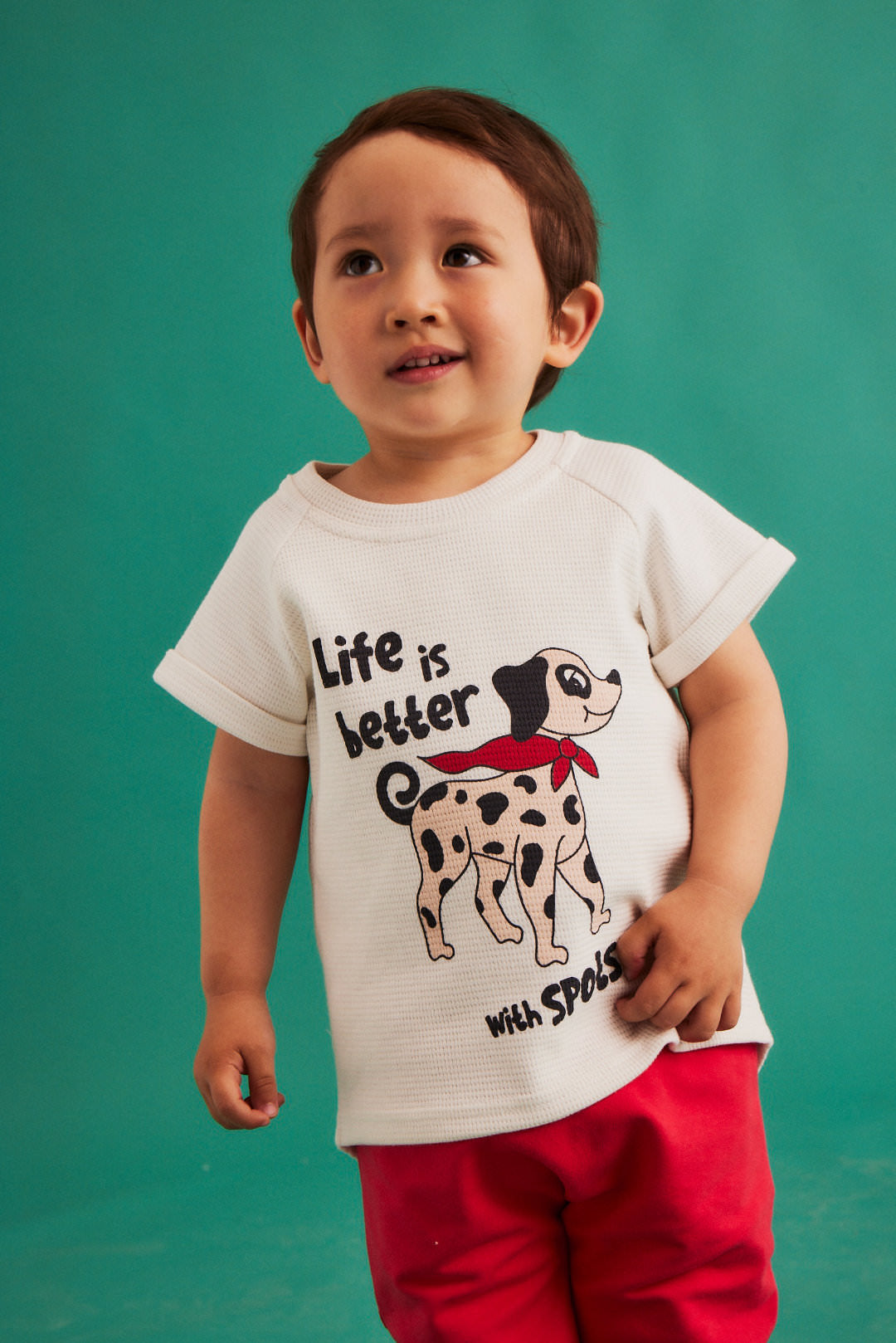 Dear Sophie DALMATIAN ecru T-Shirt
