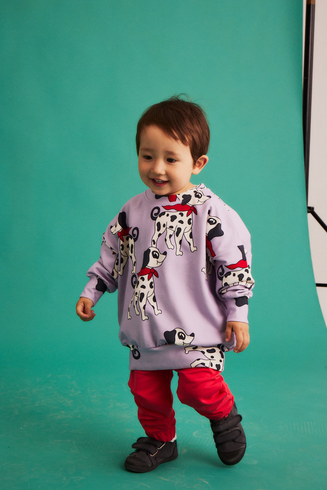 Dear Sophie DALMATIAN purple Pullover