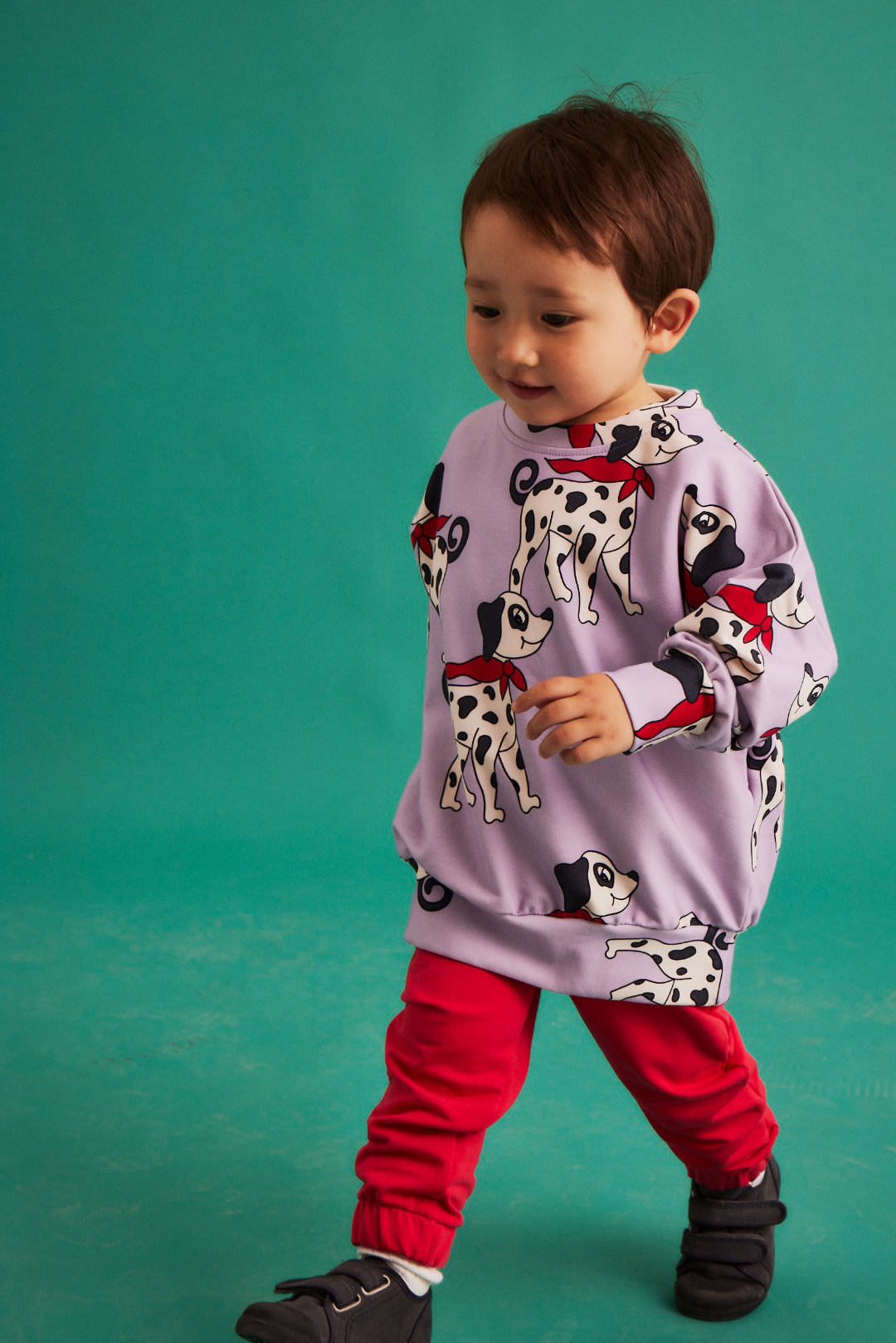 Dear Sophie DALMATIAN purple Pullover