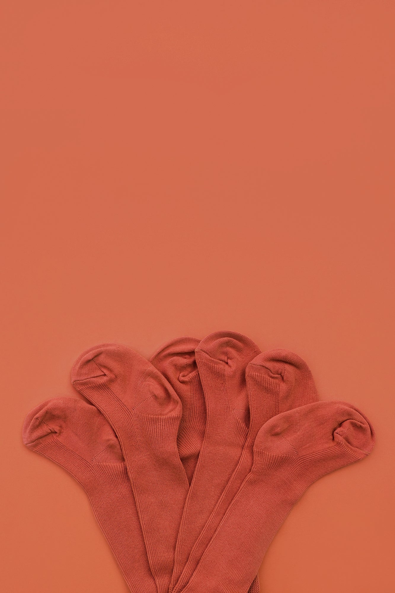 Strumpfhose in Terracotta